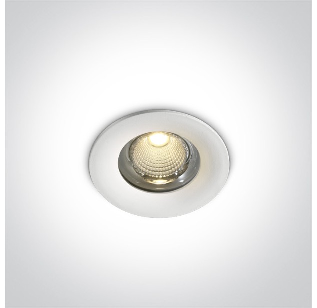 Įleidžiamas LED šviestuvas 10W 4000K IP65 10110G/W/C