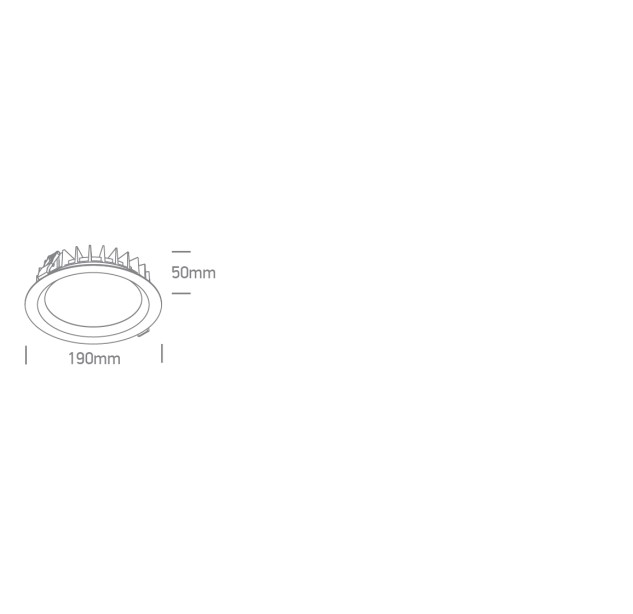Įleidžiamas LED šviestuvas 25W CCT IP65 10125BX/W/V