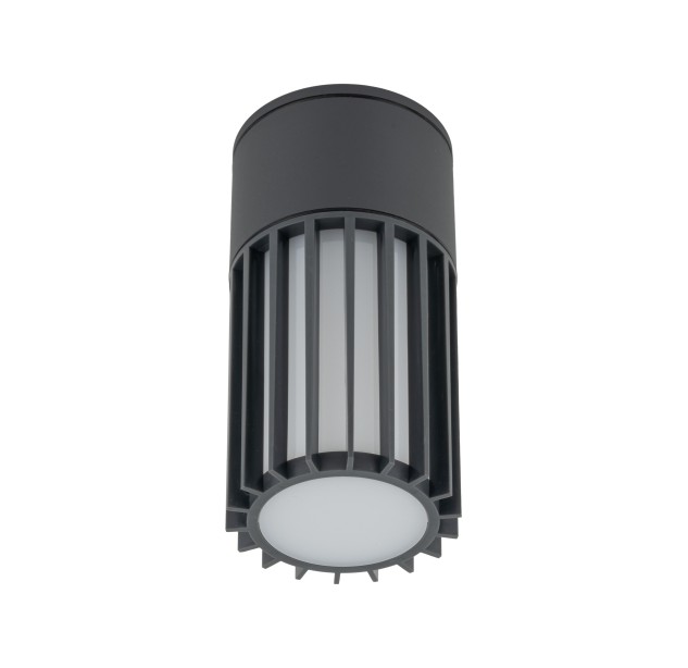 Lubinis šviestuvas RIBO Depends on used bulb 11508