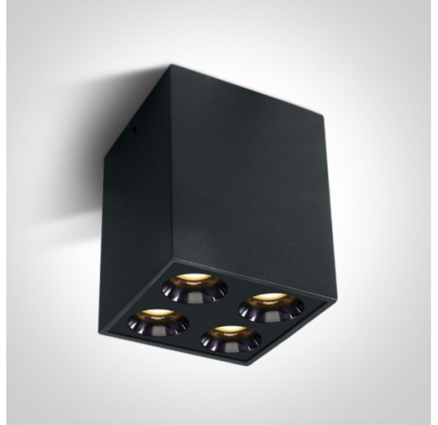 Lubinis LED šviestuvas 10W 3000K 12110HB/B/W Lubinis LED šviestuvas 10W 3000K 12110HB/B/W