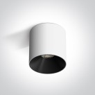 Lubinis LED šviestuvas 10W CCT 12110R/W/V