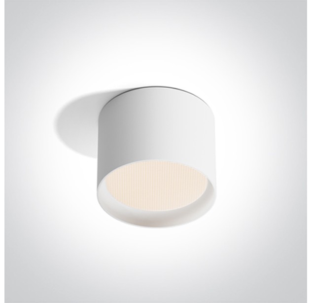 Lubinis LED šviestuvas 12W CCT IP44 12112D/W/V
