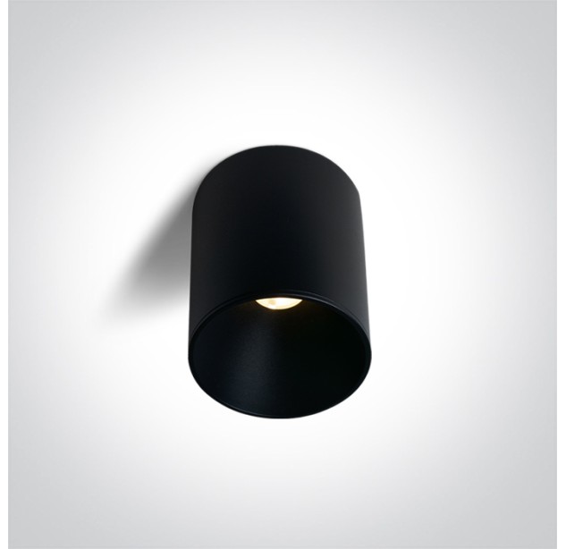 Lubinis LED šviestuvas 12W CCT 12112E/B/V