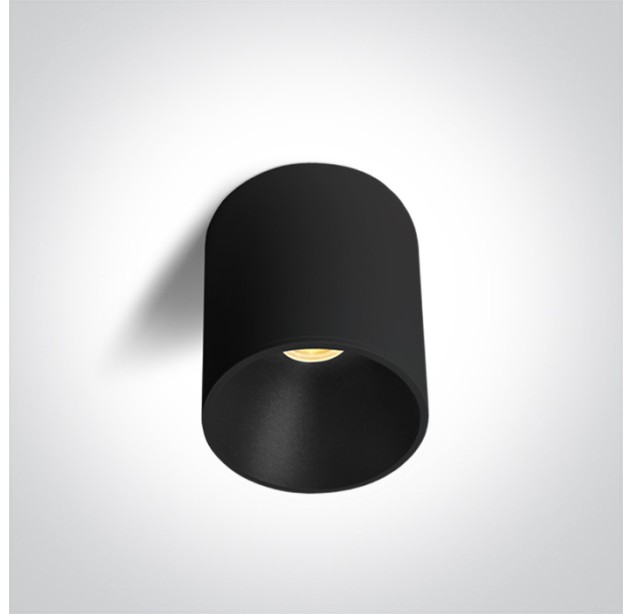Lubinis LED šviestuvas 14W CCT 12114E/B/V