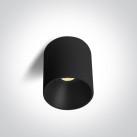 Lubinis LED šviestuvas 14W CCT 12114E/B/V