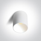 Lubinis LED šviestuvas 14W CCT 12114E/W/V