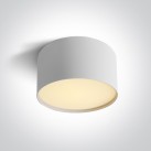 Lubinis LED šviestuvas 14W CCT 12114M/W/V Lubinis LED šviestuvas 14W CCT 12114M/W/V