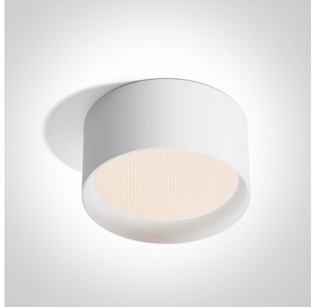Lubinis LED šviestuvas 25W CCT IP44 12125D/W/V