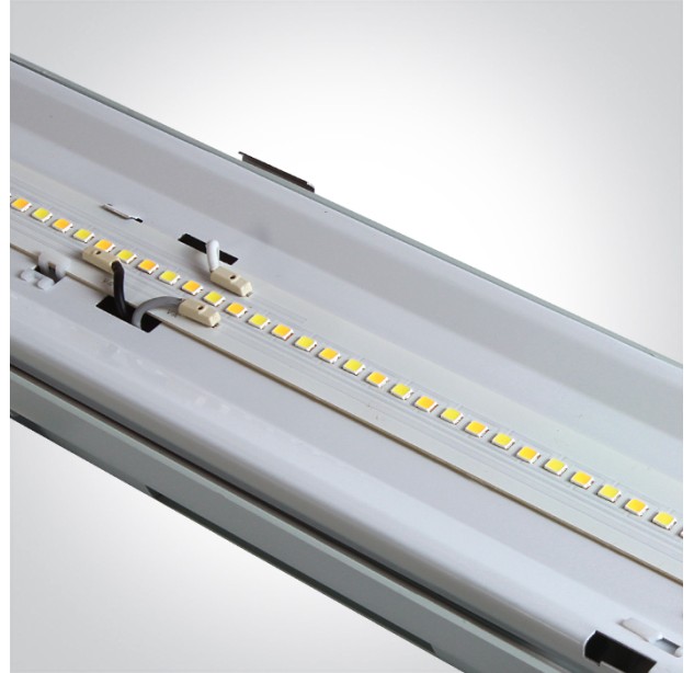 Sieninis LED šviestuvas 28W/36W/42W/50W CCT IP65 38140ME/V