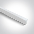Lubinis šviestuvas 38150E/W