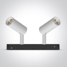 Bėginis LED šviestuvas 2x6W CCT 42108A/W/V Bėginis LED šviestuvas 2x6W CCT 42108A/W/V