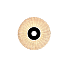 Pamela Shade %D8350x55mm Natūralus rotangas