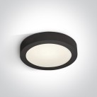 Lubinis LED šviestuvas 15W CCT IP40 62115F/B/V Lubinis LED šviestuvas 15W CCT IP40 62115F/B/V