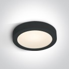 Lubinis LED šviestuvas 30W CCT IP40 62130F/B/V Lubinis LED šviestuvas 30W CCT IP40 62130F/B/V