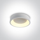 Lubinis LED šviestuvas 20W CCT 62130N/W/V Lubinis LED šviestuvas 20W CCT 62130N/W/V