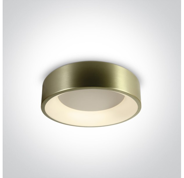 Lubinis LED šviestuvas 32W 3000K 62132N/BBS/W