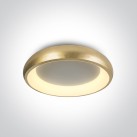 Lubinis LED šviestuvas 30W CCT 62134N/BGL/V