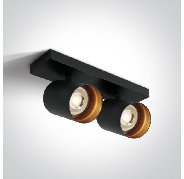 Lubinis/sieninis šviestuvas 2x2x10W GU10 65205N/B