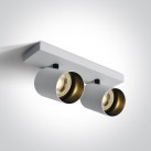 Lubinis/sieninis šviestuvas 2x2x10W GU10 65205N/W Lubinis/sieninis šviestuvas 2x2x10W GU10 65205N/W