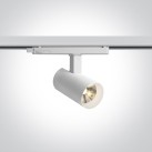 Bėginis LED šviestuvas 8W-10W-12W CCT 65670AT/W/V
