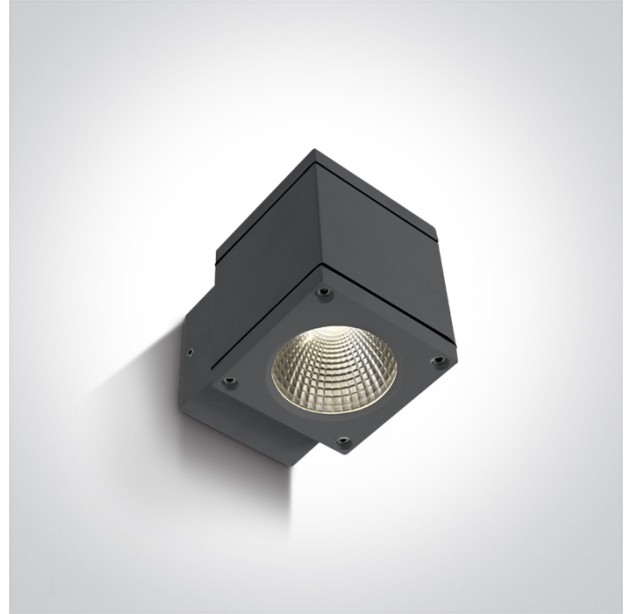 Sieninis LED šviestuvas 6W 3000K IP54 67138F/AN/W