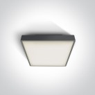 Lubinis šviestuvas 12W E27 IP65 67282E/AN Lubinis šviestuvas 12W E27 IP65 67282E/AN