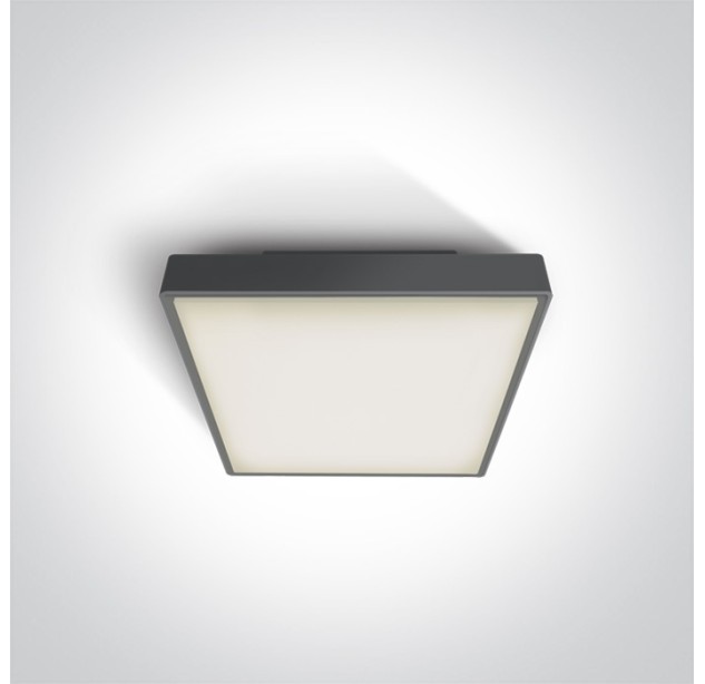 Lubinis LED šviestuvas 16W 3000K IP65 67282N/AN/W