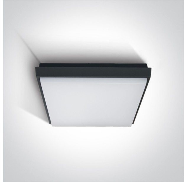 Lubinis LED šviestuvas 30W 3000K IP54 67363A/AN/W