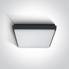Lubinis LED šviestuvas 30W 3000K IP54 67363A/AN/W