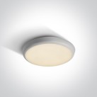Lubinis LED šviestuvas 12W CCT IP54 67366/W/V Lubinis LED šviestuvas 12W CCT IP54 67366/W/V