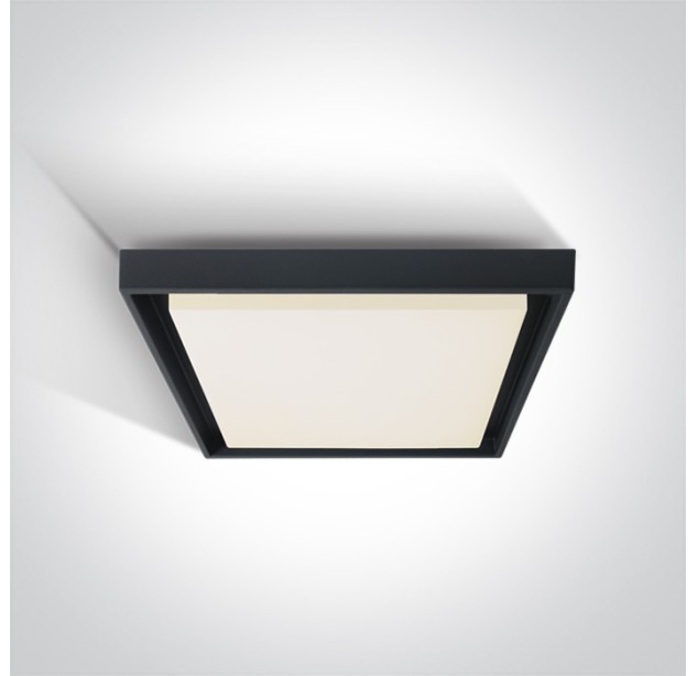 Lubinis LED šviestuvas 30W 3000K IP54 67384A/AN/W