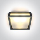 Потолочный/настенный светильник 2x2x12W E27 IP54 67420B/AN Потолочный/настенный светильник 2x2x12W E27 IP54 67420B/AN