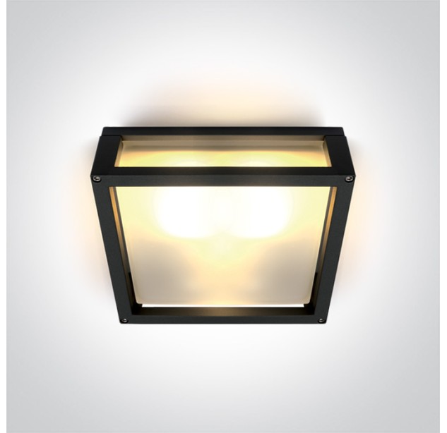 Ceiling/wall light 2x2x12W E27 IP54 67420B/B Ceiling/wall light 2x2x12W E27 IP54 67420B/B