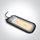 LED prožektorius 100W CCT IP65 70118B/AN/V LED prožektorius 100W CCT IP65 70118B/AN/V
