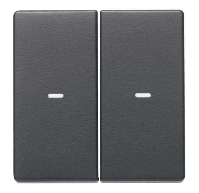 Dangtelis KNX mygtukui, 2-jų klavišų Q.1/Q.3 80960326 Dangtelis KNX mygtukui, 2-jų klavišų Q.1/Q.3 80960326