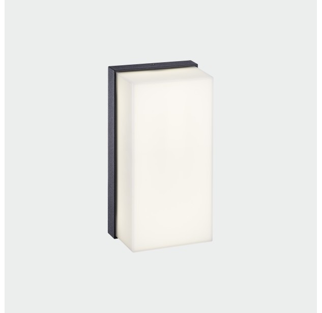 Noel sieninis šviestuvas 16/2090 tekstūruotas antracitas, LED 10 W 550 lm, CRI 90 CL.I IP65, integruotas LED, Kelvinas 2700 K–3000 K, slankusis jungiklis