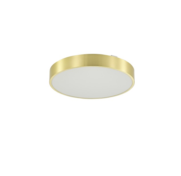 Lubinis šviestuvas NADI 36 LED 3000-6000  MS724-R400-GD