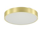 Lubinis šviestuvas NADI 36 LED 3000-6000  MS724-R400-GD