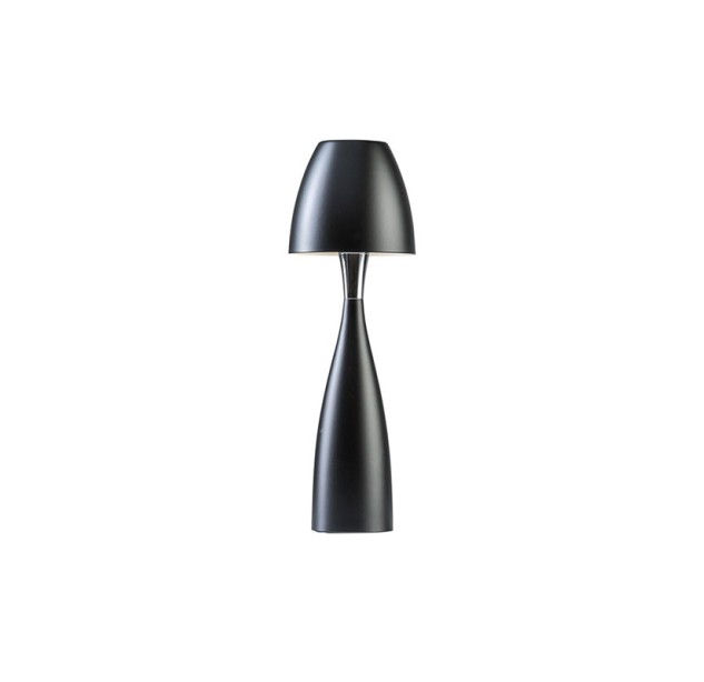 Stalinis šviestuvas ANEMON 400507