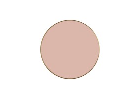 Sieninio šviestuvo diskas CHAMALEON K0003040RS