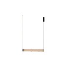 Pakabinamas šviestuvas CANNA 2700K 20W C1319/L Pakabinamas šviestuvas CANNA 2700K 20W C1319/L