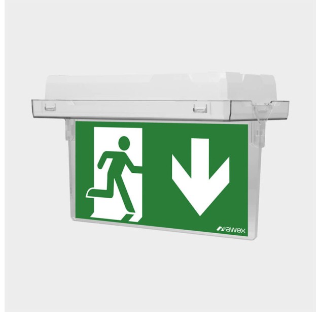 Evakuacinis šviestuvas EXIT M 6000K 1W IP65