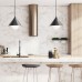 Pakabinamas šviestuvas Alora Mood Remyck 60W E27 ALM-REMYCK-P-BK