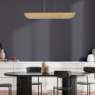 Pakabinamas šviestuvas Hinkley Arco Linear 3000K 43W HK-ARCO-LED-LP-117-HB Pakabinamas šviestuvas Hinkley Arco Linear 3000K 43W HK-ARCO-LED-LP-117-HB