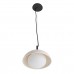 Pakabinamas šviestuvas Glaze E27 40W QNA-GLAZE-1P-BIC