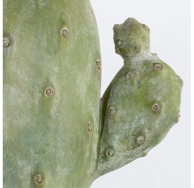Stalinis šviestuvas Cactus E27 150W QNC-CACTUS-TL Stalinis šviestuvas Cactus E27 150W QNC-CACTUS-TL