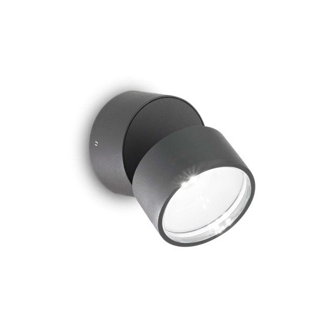 Sieninis lauko šviestuvas OMEGA AP ROUND ANTRACITE 4000K IP54