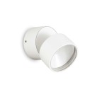 Sieninis lauko šviestuvas OMEGA AP ROUND BIANCO 4000K IP54