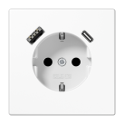 Kištukinis lizdas be rėmelio su USB LS1520-15CAWW Kištukinis lizdas be rėmelio su USB LS1520-15CAWW