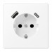 Kištukinis lizdas be rėmelio su USB LS1520-15CAWWM baltas mat.